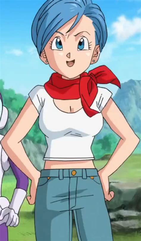 bulma db super|Bulma .